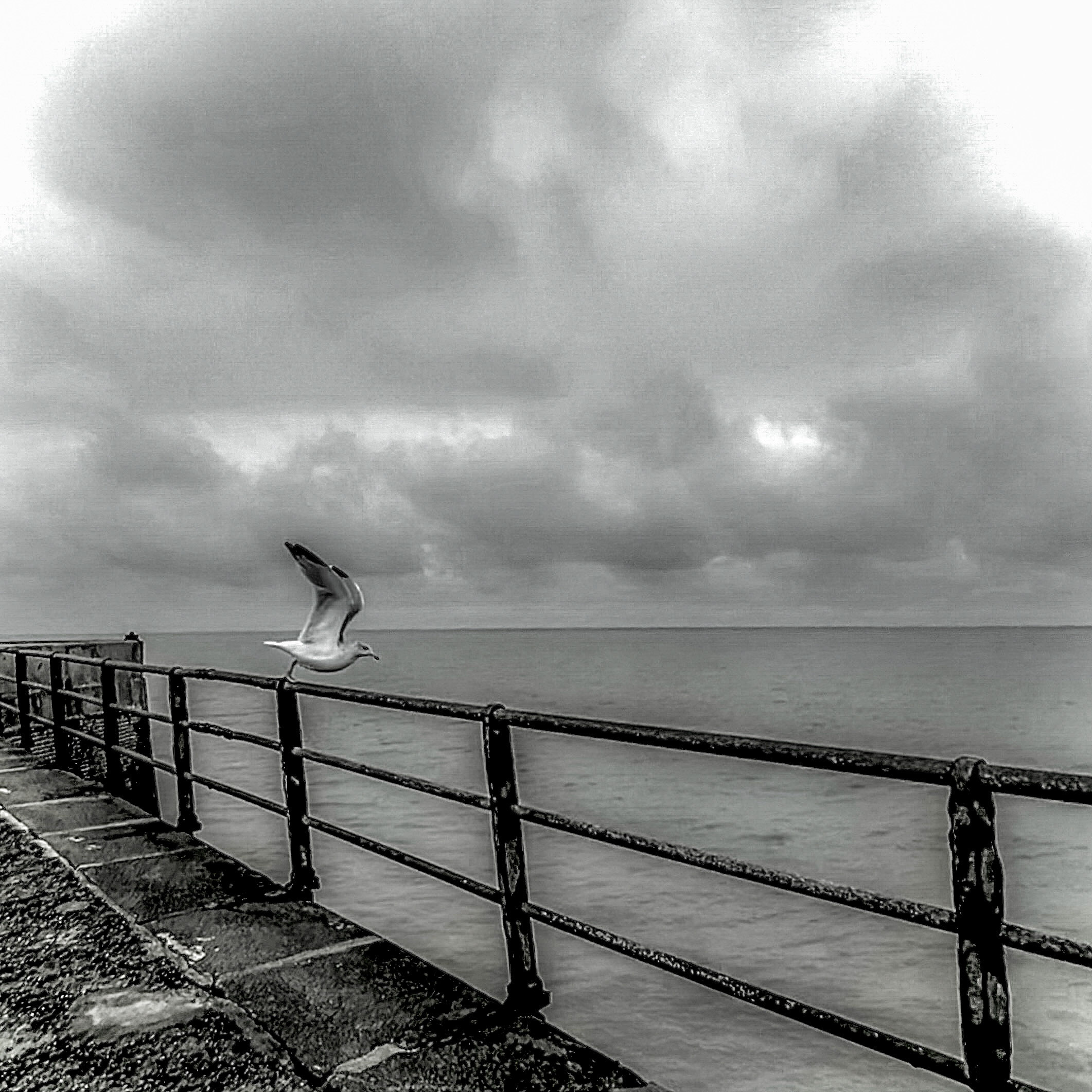 Aperçu de la galerie Noir Blanc